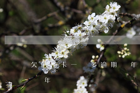 欠信用卡一萬多逾期兩年(一萬的信用卡逾期兩年)