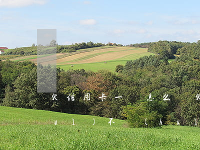 欠信用卡一萬怎么辦 欠信用卡一萬多會(huì)不會(huì)坐牢