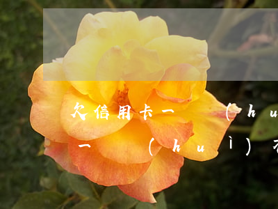 欠信用卡一萬會(huì)怎樣-欠信用卡一萬會(huì)不會(huì)被起訴