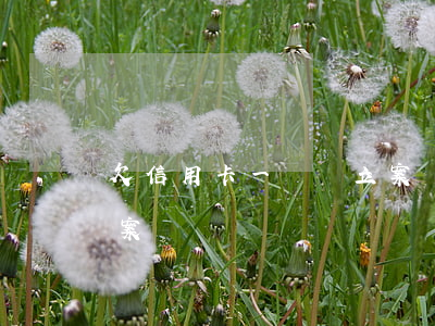 欠信用卡一萬會立案嗎（信用卡逾期1萬要立案）