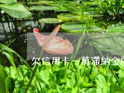 欠信用卡一萬滯納金兩萬怎么辦-