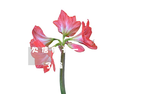 欠信用卡一萬說是立案(欠信用卡一萬多被起訴了最嚴(yán)重判什么)