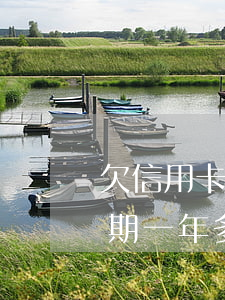 欠信用卡一萬逾期一年多了(欠信用卡一萬逾期一年多了)