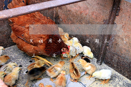 欠信用卡一萬逾期三個(gè)月(信用卡欠三萬逾期一年)