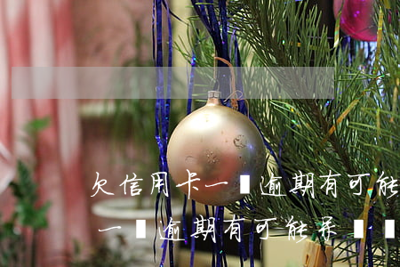 欠信用卡一萬逾期有可能呆賬嗎-欠信用卡一萬逾期有可能呆賬嗎知乎