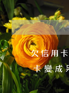 欠信用卡一萬逾期有可能呆賬嗎(欠銀行信用卡變成呆賬了)
