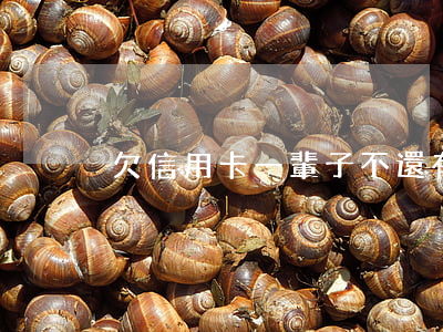 欠信用卡一輩子不還(有欠信用卡不還的嗎)