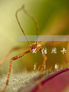 欠信用卡一輩子(欠信用卡一輩子還不完結(jié)果還能活嗎)