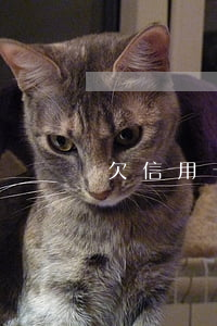 欠信用卡七万元(欠信用卡7万多需坐几年牢)