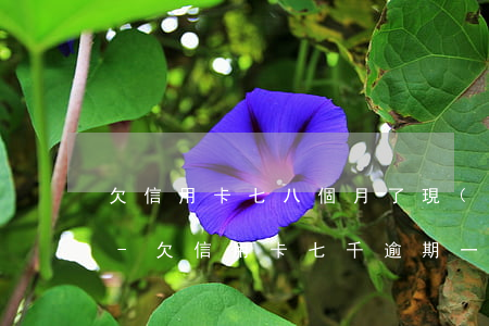 欠信用卡七八個月了現(xiàn)在想還-欠信用卡七千逾期一年