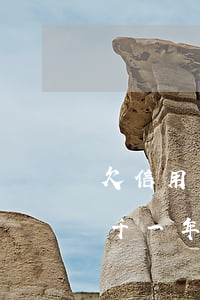 欠信用卡七千兩年沒還怎么辦(信用卡欠了6千一年沒還現(xiàn)在怎么處理)