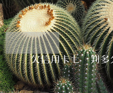 欠信用卡七萬判多久
