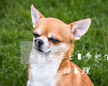 欠信用卡七萬多(欠信用卡七萬多怎么怎么還不了怎么處理)