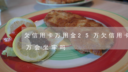 欠信用卡万用金25万(欠信用卡万用金25万会坐牢吗)