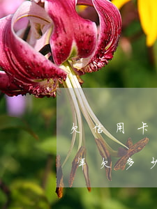 欠信用卡三万逾期几年了(信用卡三千逾期三年欠多少)