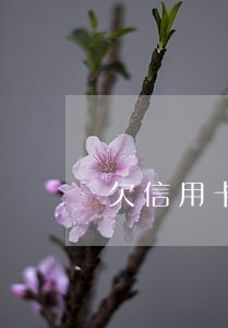 欠信用卡三个月-欠信用卡一万逾期十年