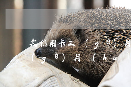 欠信用卡三個(gè)月以上(欠信用卡3個(gè)月會(huì)拘留嗎)