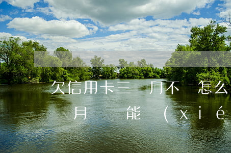 欠信用卡三個月不還怎么辦(欠信用卡三萬三個月沒還能協(xié)商解決嗎)