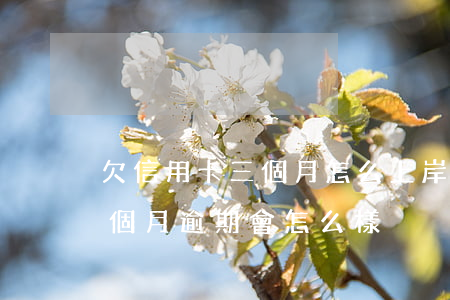 欠信用卡三個月怎么上岸-欠銀行信用卡3個月逾期會怎么樣