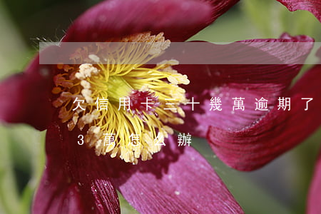 欠信用卡三十幾萬逾期了怎么辦（信用卡欠33萬怎么辦）