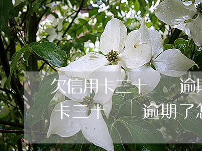欠信用卡三十幾萬逾期了怎么辦呢-欠信用卡三十幾萬逾期了怎么辦呢怎么處理