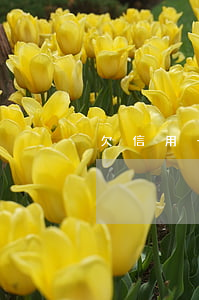 欠信用卡三千五怎么還（欠信用卡三千五）