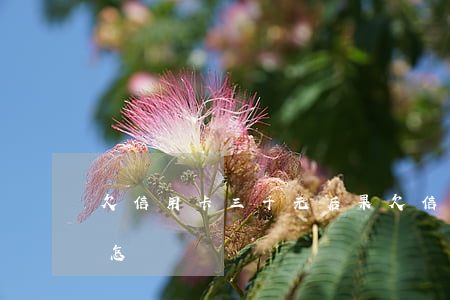 欠信用卡三千元后果(欠信用卡三千元后果會怎樣)