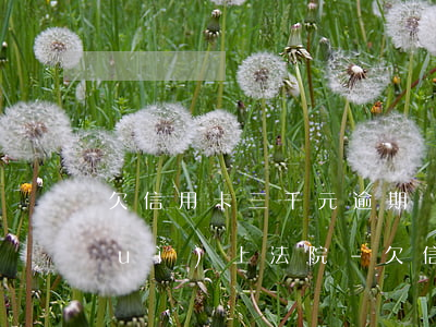 欠信用卡三千元逾期會(huì)不會(huì)上法院-欠信用卡三千元逾期會(huì)不會(huì)上法院起訴