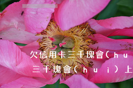 欠信用卡三千塊會(huì)上門(欠信用卡三千塊會(huì)上門催款嗎)