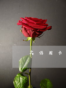 欠信用卡三千會(huì)被告嗎