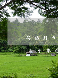 欠信用卡三千本金還不起怎么辦-欠信用卡三千本金還不起怎么辦呢