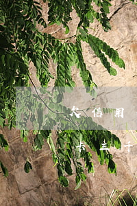 欠信用卡三千資產(chǎn)保全 欠信用卡三千資產(chǎn)保全怎么辦
