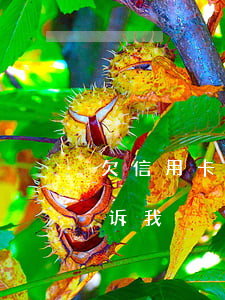 欠信用卡三千 起诉(欠信用卡三千多银行说起诉我)