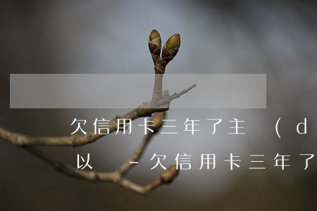 欠信用卡三年了主動(dòng)還本金可以嗎-欠信用卡三年了主動(dòng)還本金可以嗎?