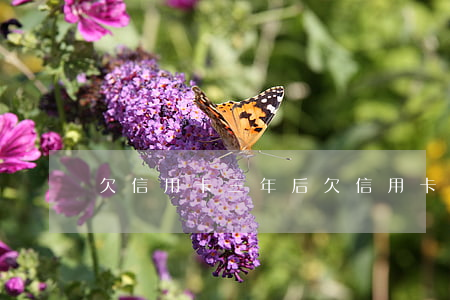 欠信用卡三年后(欠信用卡三年了會不會被通緝)