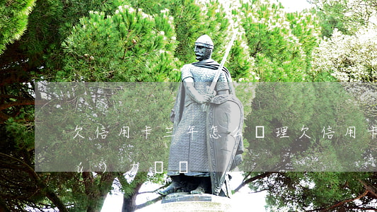 欠信用卡三年怎么辦理(欠信用卡3年無(wú)力償還)