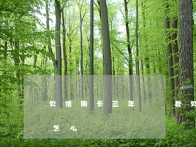 欠信用卡三年沒還款(欠信用卡三年沒還款會怎么樣)