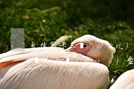 欠信用卡三萬(wàn)多暫時(shí)還不上會(huì)坐牢嗎?（信用卡欠三萬(wàn)怎么還款）