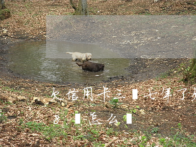 欠信用卡三萬七年了 欠信用卡3萬兩年到了8萬怎么辦