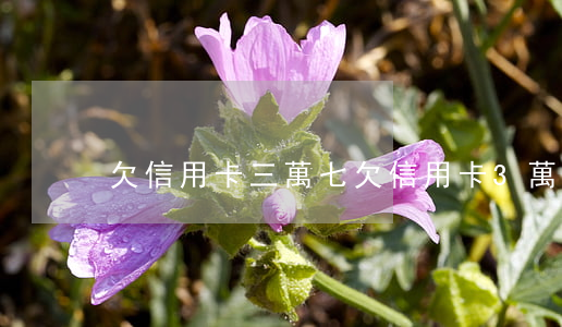 欠信用卡三萬七(欠信用卡3萬怎么自救)