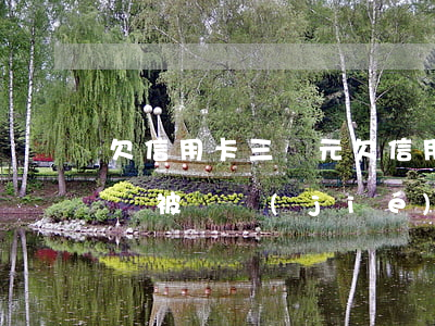 欠信用卡三萬元(欠信用卡三萬元無力償還,車會被凍結(jié)嗎)