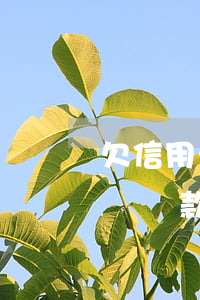 欠信用卡三萬元沒錢還-欠信用卡三萬元沒錢還款怎么辦
