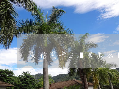 欠信用卡三萬是怎么滾到六萬的-