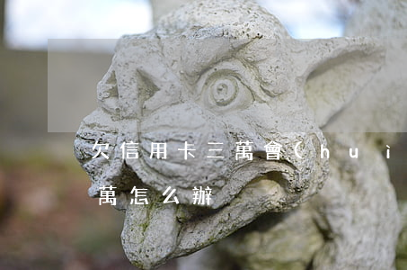 欠信用卡三萬會(huì)如何(欠信用卡3萬怎么辦)