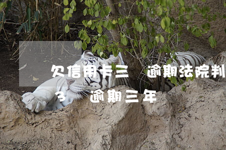 欠信用卡三萬逾期法院判會還多少 欠信用卡3萬逾期三年