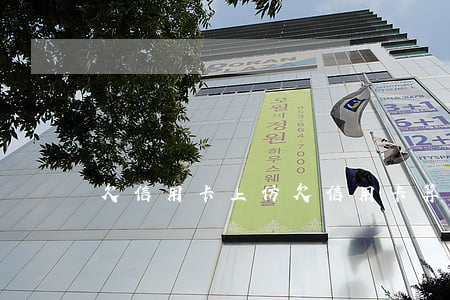 欠信用卡上仿(欠信用卡算不算有案底)