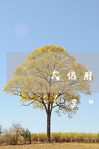 欠信用卡上岸了怎么辦(欠信用卡上岸怎么規(guī)劃)