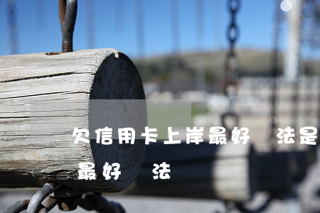 欠信用卡上岸最好辦法是什么（欠信用卡上岸最好辦法）