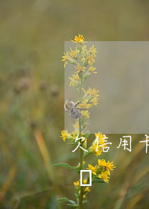 欠信用卡上征信黑名單(黑名單信用卡受影響嗎)