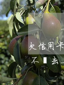 欠信用卡上班后怎么辦 欠信用卡錢還不上會不會去上班工作地方家訪